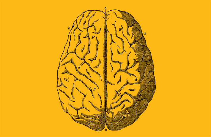 line drawing of human brain on yellow background