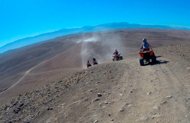 Four quadbikes driven in desert